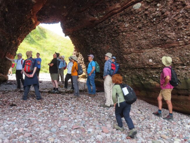 Excursion Group